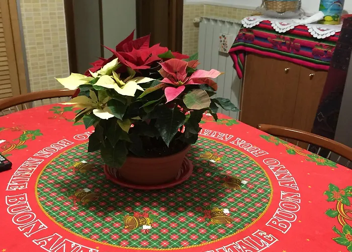 マルチェリーナ ベッド・アンド・ブレックファスト 3*